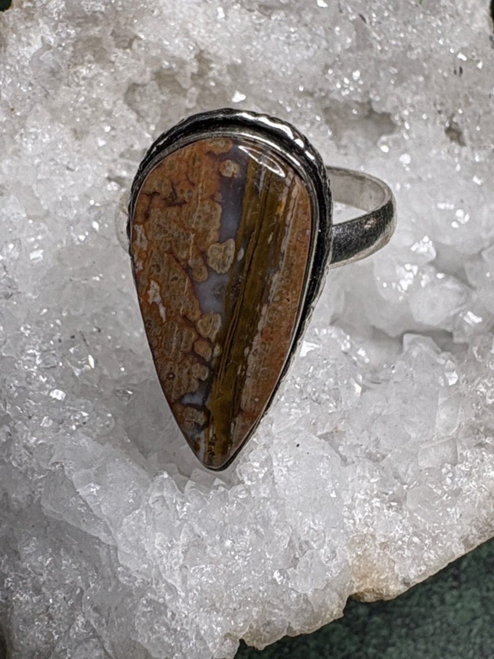 Petrified wood agate? Or Jasper silver ring